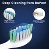 WL-T1009 Sonic Electric Toothbrush Replacement Brush Heads.8pcs, White. (Cannot be