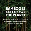 Save Trees Bamboo Facial Tissues -24 Boxes- Bamboo Tissue Boxes,