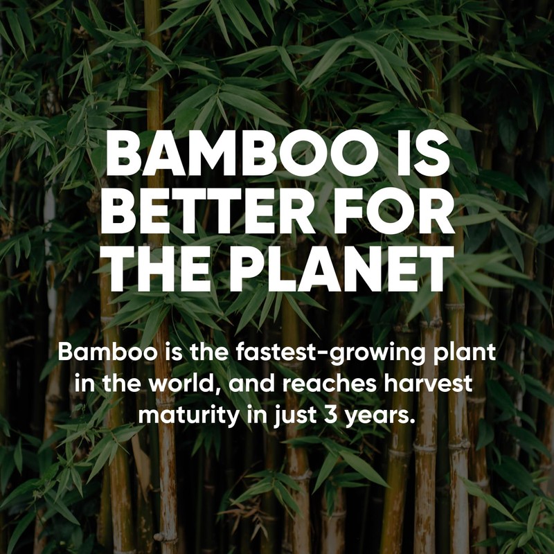 Save Trees Bamboo Facial Tissues -24 Boxes- Bamboo Tissue Boxes,