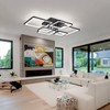 Shine LUEST Modern LED Ceiling Light Fixture Black Kitchen Lighting