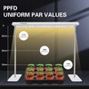 LPMZMBL LED Grow Lights for Seed Starting with Stand, 2ft