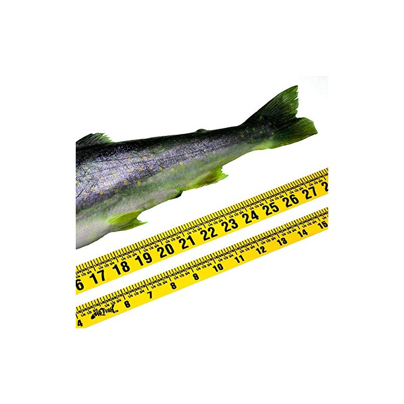 Oregon Rule Co. Big Fish Adhesive Backed Rules – 20
