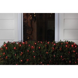 Northlight 4' x 6' Red LED Wide Angle Net Style Christmas Lights - Green Wire