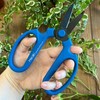 Meraki Garden Pruning Shears 7.0 inch, Delphinium