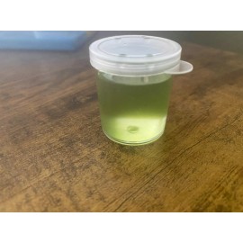Algaeo Chlorella Vulgaris (Live Algae Culture) 100ml.