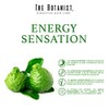 The Botanist Shampoo Bergamot + Basil 591 ml