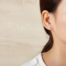 Philip Jones Silver Plated Flower Earrings Created with Zircondia® Crystals