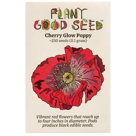 Plant Good Seed Organic Cherry Glow Poppy Seeds for Planting, Dark Pink Red Flowers, 250 Seed Packet