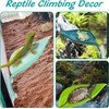 3PCS Lexziuo Tree Frog Tank Accessories, Reptile Terrarium Climbing Platform