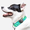 Elevation Lab TagVault AirTag Dog Collar Mount (Single) - IP69