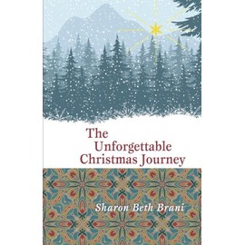 The Unforgettable Christmas Journey
