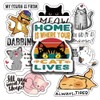 Motivational Cat Sayings Decals Set | Cute Cat Stickers Pack