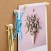 102 Pcs Wood Push Pins 6 Sizes Thumb Tacks for