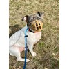 Mayerzon Dog Muzzle, Breathable Basket Muzzles for Small, Medium, Large