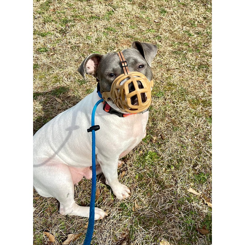 Mayerzon Dog Muzzle, Breathable Basket Muzzles for Small, Medium, Large