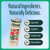 Zevia Organic Sugar Free Iced Tea, Tea Refresher Variety Pack,