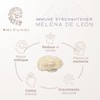 Extracto de Reishi, Shiitake y Melena de León de Doble