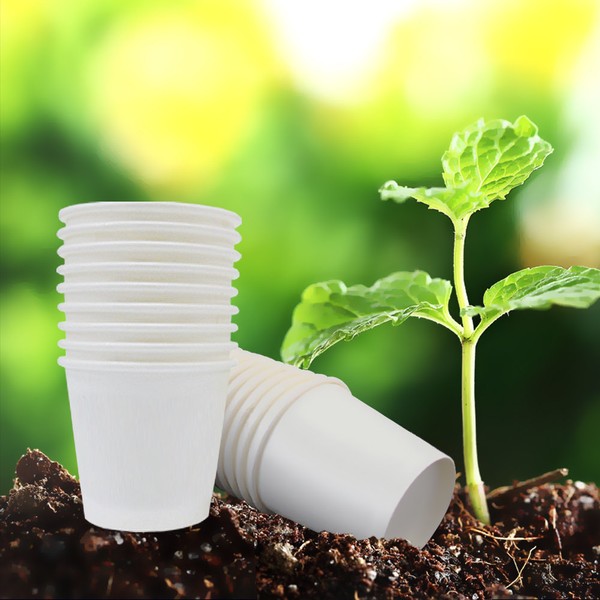 2000 plain soju paper cups, plain 2.5 ounce cups, 2.5