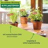 Windhager Copper Plant Signs, Plug-in Signs, Plant Stakes, Plug-in Labels,