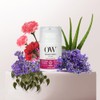 Organic Works Daily Hydration Super Intensive Moisturizer - Hydrating Face