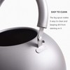 Boundless Voyage Titanium Kettle, Whistling Type, 0.6 gal (2.0 L),