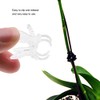 Haofy 100PCS Plant Support Orchid Clips Vine Plant Clips, Garden