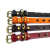 Dog Collar Neck Collar Leather Puppy Collar Cute Collar Punk