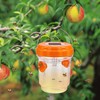 3 Pieces Carpenter Bee Cage, Wasp Outdoor Hanging with Solar