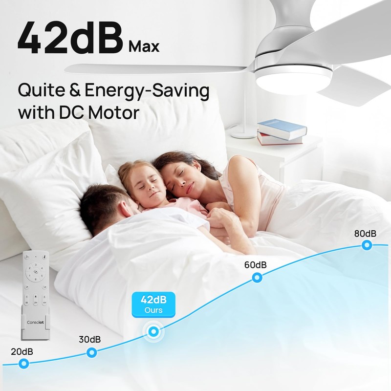 Consciot Ceiling Fan, Ceiling Fan With Lights Remote Control, 44