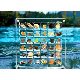 Yuelulala Acrylic Magnetic Seashell Display Box, Clear Organizer Case for Jewelry Storage for Seashell Starfish Trinket, Bead, Nail, Jewelry (A11-1)