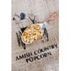 Amish Country Popcorn | 14 oz Bottle | Baby Yellow