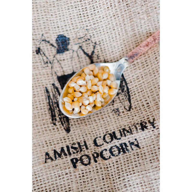Amish Country Popcorn | 14 oz Bottle | Baby Yellow