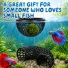 Floating Betta Fish Hideout Set, Tunnel Cave & Resting Hideaway