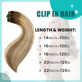 SURNEL Clip Extensions Real Hair 18 Inches Balayage Brown Real Hair Extensions 120 g 45 cm Clip-In Remy Ombre Extensions Real Hair Clip Double Wefts Brown to Light Brown with Golden Blonde (#3/8/22-18