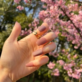 Fling Olas Press-on Nails, Oval Nails, Reusable, Handmade with UV Finish, False Nails, Nail Kit for Women, Oval, Velvet Cateye, Small Size