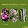 Herbs Etc. Lymphatonic Softgels - Lymph System Support - Support