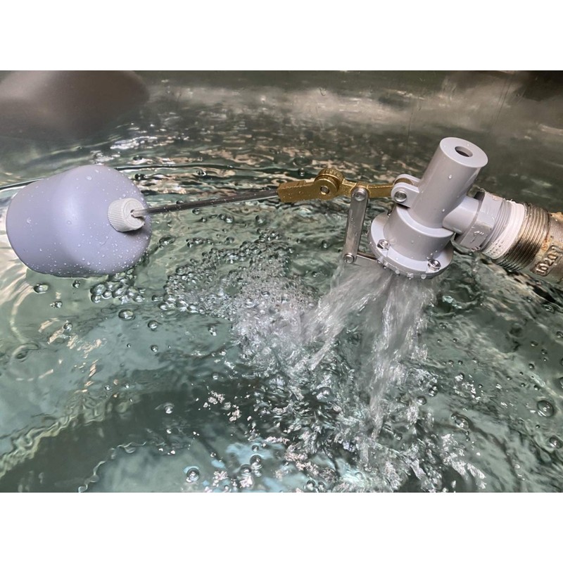 ABS Balanced Float Ball Valve, 100 psi Pressure (1"NPT)