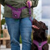 DOG Copenhagen Go Explore Treat Bag, Purple Passion, One Size