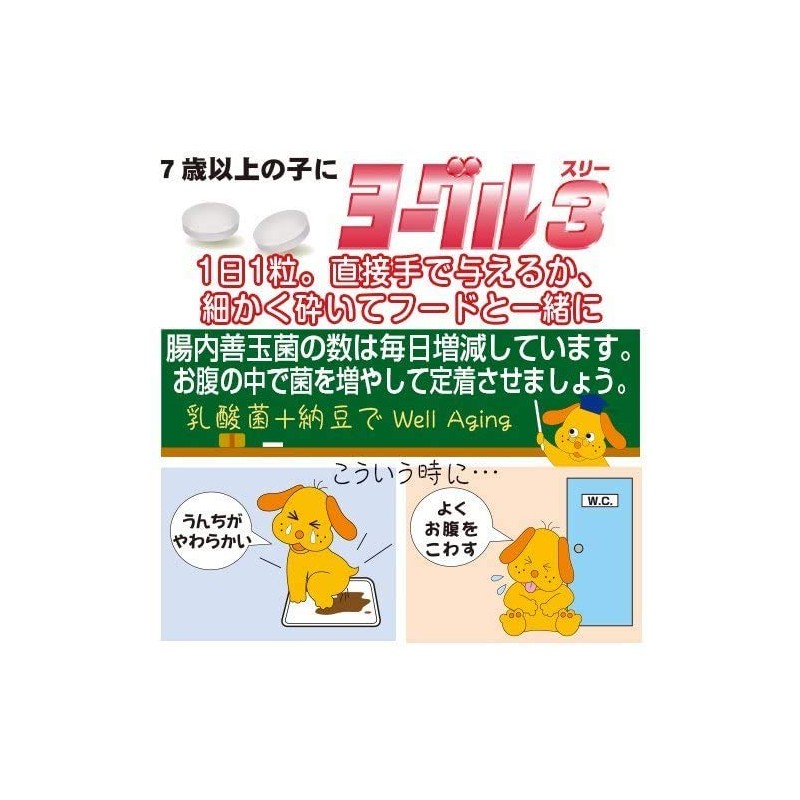 【15個セット】トーラス 乳酸菌+納豆成分 ヨーグル3 納豆菌