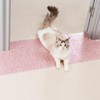 Uross Carpet Protector for Pets - Random Color Cat Carpet