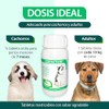 RUILAND Cofactor Suplemento Multivitamínico para Perros