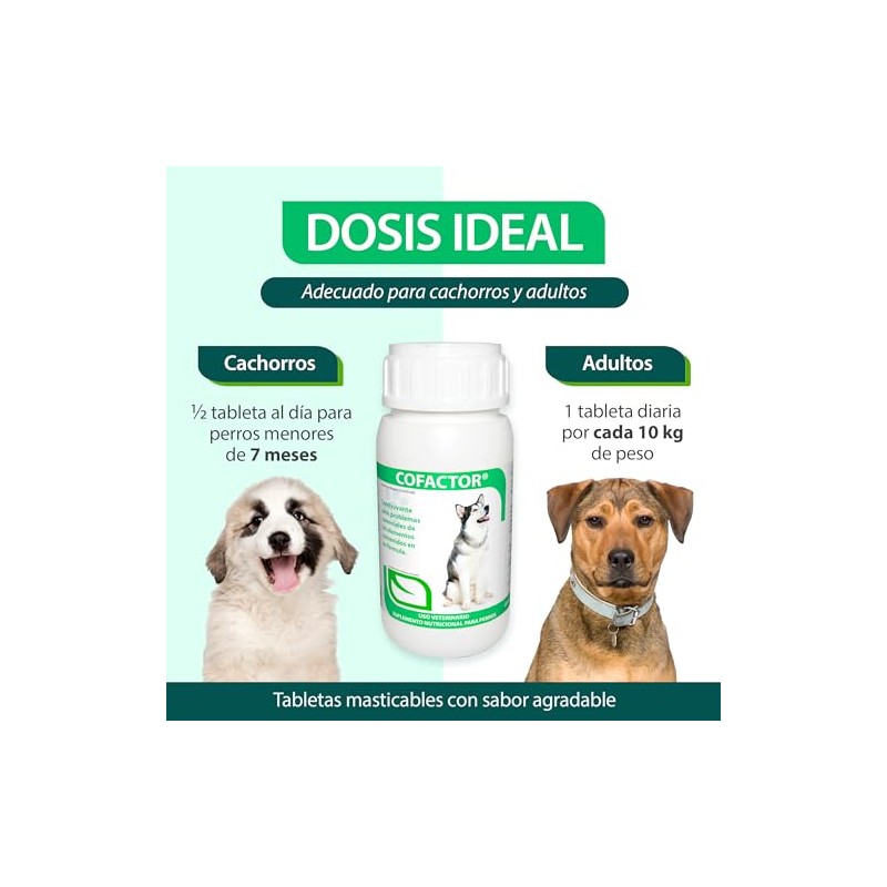 RUILAND Cofactor Suplemento Multivitamínico para Perros