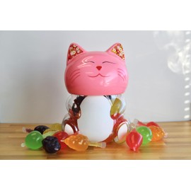 NEW Fruix Lucky Kitty Jar - Popping Fruit Jellies - Assorted Flavors - Squeeze Jellies - Jelly Fruit Candy - Color Varies