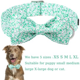 Unique style paws Summer Dog Collar with Bow Tie, Green, Harness, Collars & Leads for Fly Collar, White Flower, Dog Wide Dog Collar, Pull Collar, Gifts for Small, Medium, Large Dogs, L