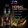 Shampoo Tinte Instantáneo Castaño Cubre Canas 100ml