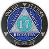 (Years 1-50) 17 Year AA Recovery Silver Color Plated Glitter