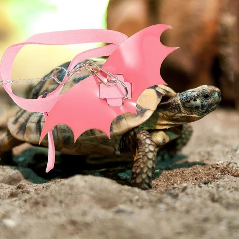 hokable Turtle Harness and Leash with Wings- Harness Strap Chest