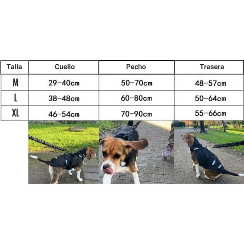 Total Harness Anti Traction for Sports with Dog, Running, Canicross,