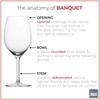 Schott Zwiesel Tritan Crystal Banquet Stemware Collection Set of 6,
