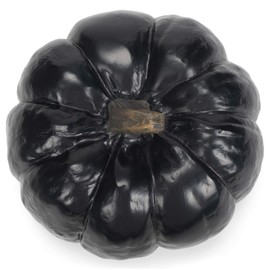 Elanze Designs Midnight Black 6 inch Resin Harvest Decorative Pumpkin